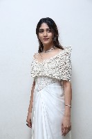 Chandini Chowdary at Yevam Pre Release